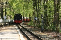 Schmalspurbahn Molli in Heiligendamm